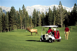 Fairmont Banff Springs Golf Course