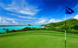 Tamarind Beach Hotel & Yacht Club, The Grenadines Estate Golf Course