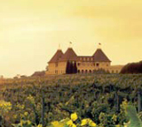 Chateau Elan