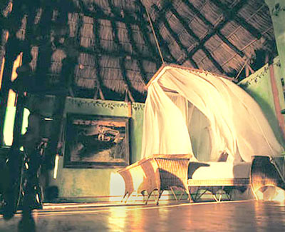 Absorb the purity of your surroundings right from the spacious comfort of your accommodations.