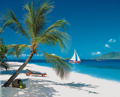 Palm island Resort