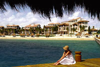 Ceiba del Mar