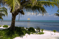  La Perla del Caribe - Ambergris Caye, Belize