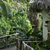 Path to Bungalows, Lapa Rios Ecolodge