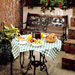Dining on the terrace