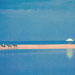 Take a horseback ride along the private, unspoiled sands of Mexico's Pacific Coast.