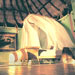 Absorb the purity of your surroundings right from the spacious comfort of your accommodations.