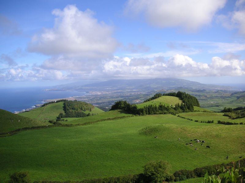 The Azores